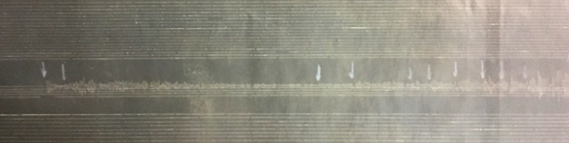 Seismogramm