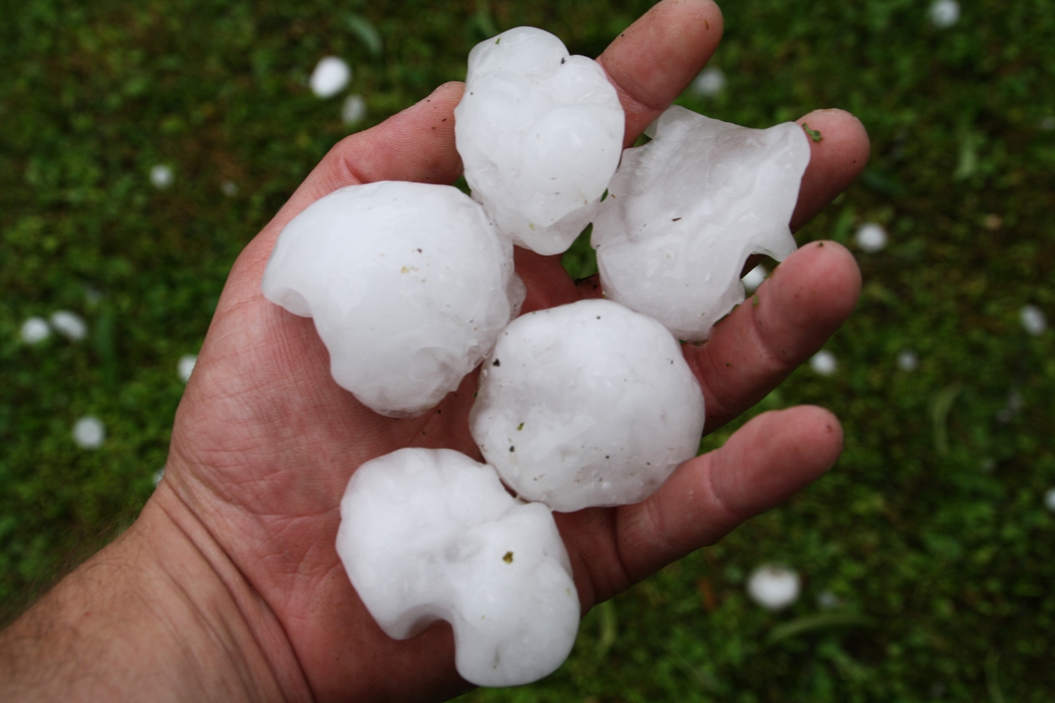 5 large hailstones in one hand