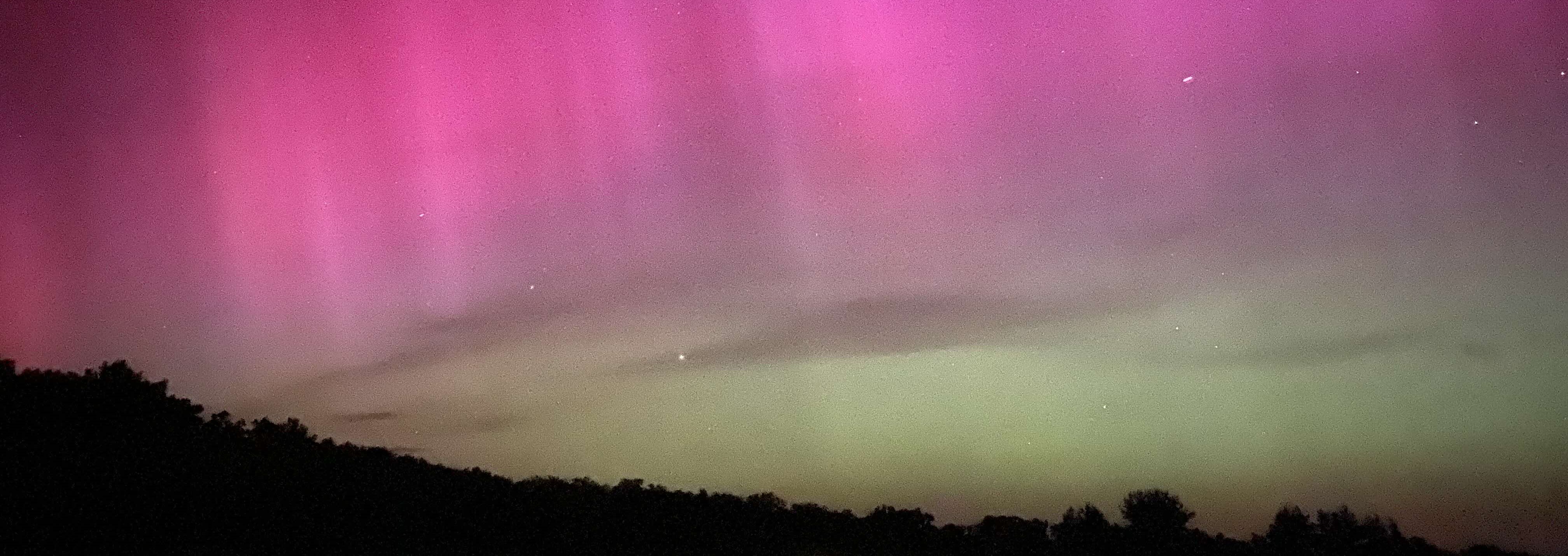 Rosafarbene Nordlichter am Himmel über einem dunklen bewaldetet Horizont