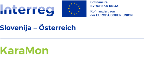 Projekt Logo