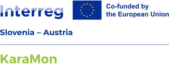 Project logo