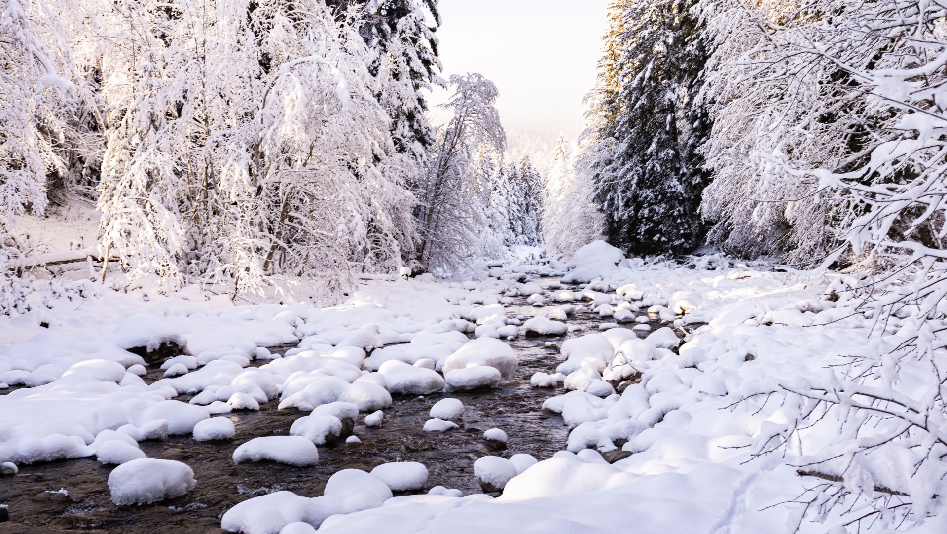 A stream flows through a snow-covered landscape